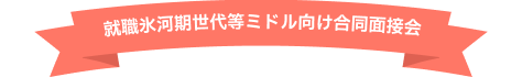 就職氷河期世代等みミドル向け合同面接会